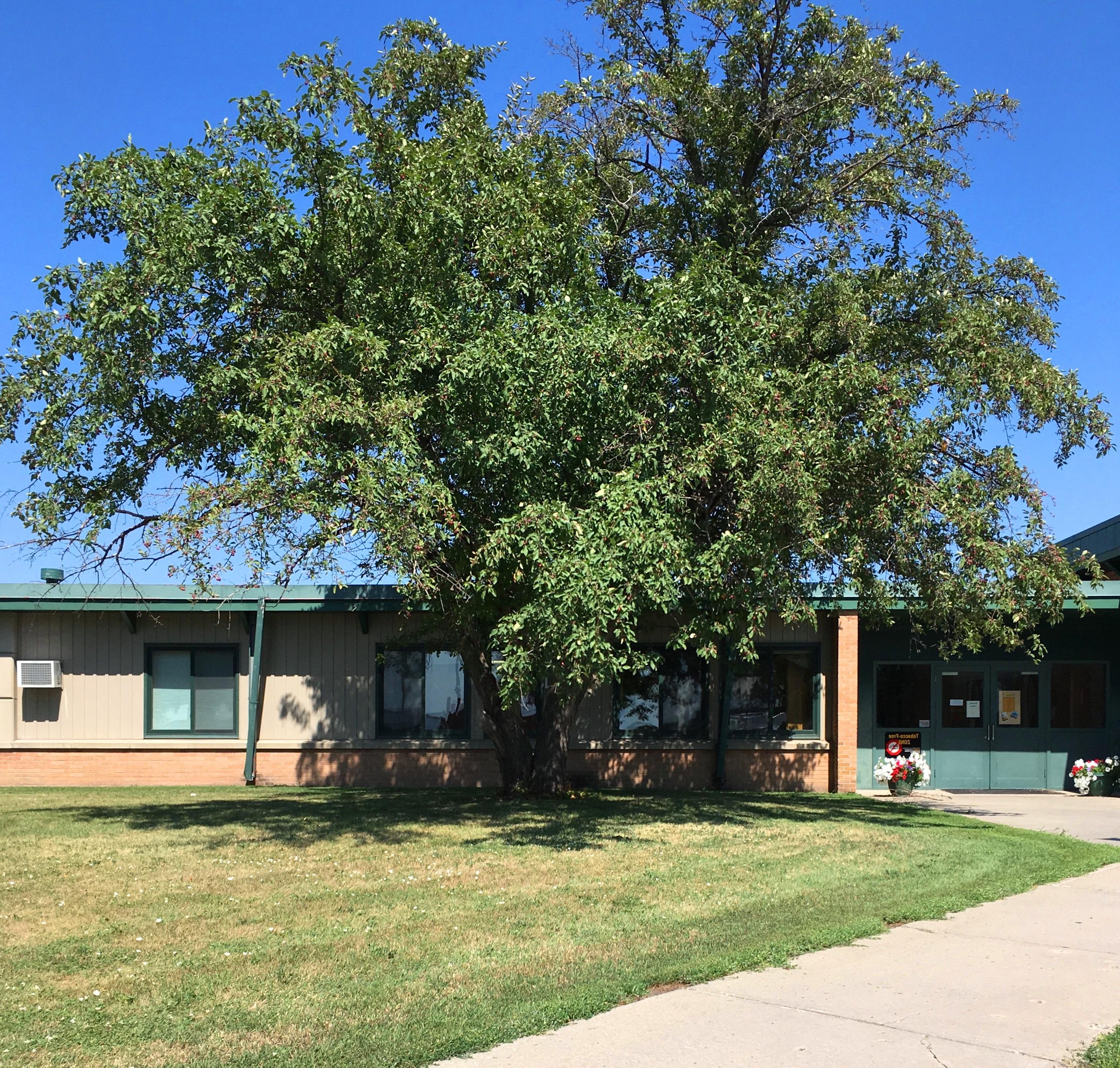 Peter J. Boe Elementary School